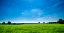 Agriculture Clouds Countryside Cropland