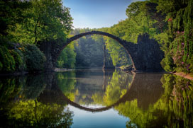 Gray Bridge And Trees